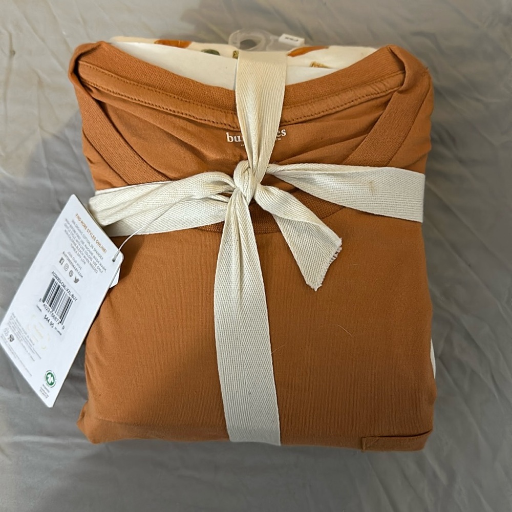 Men’s Burt’s Bees Pumpkin Pie Thanksgiving Pajamas PJs